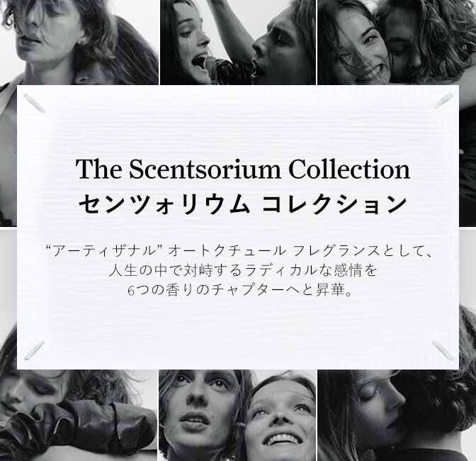 The Scentsorium Collection Hero Banner